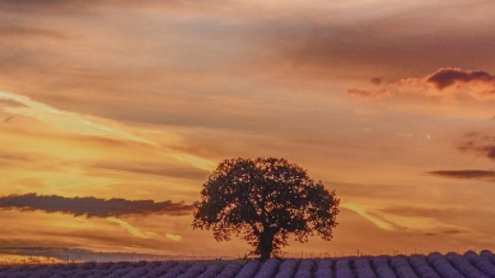 Hope and love life